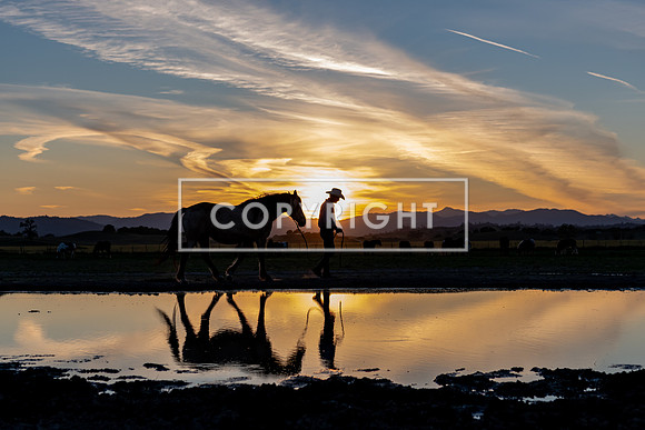 Country Reflections 8526952
