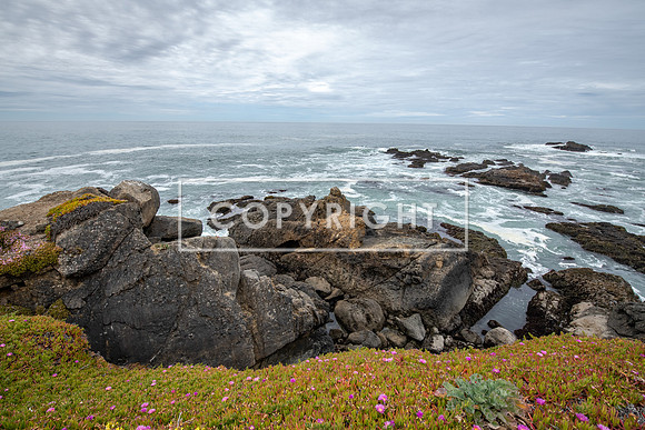 Ocean Outlook  8526649