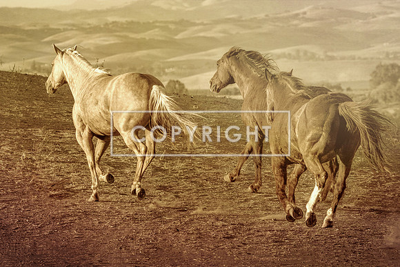 Running Away_99968