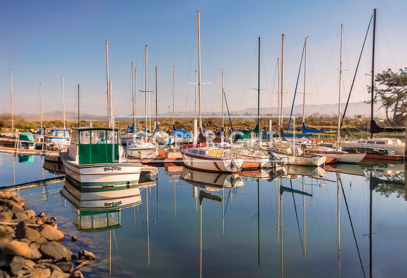 Boats in Back Bay
