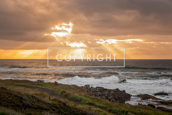 Sunset Rays