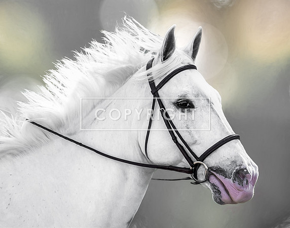 White Beauty